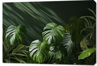 product-compare-59466929