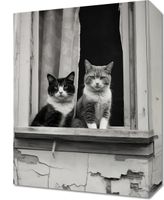 Obraz 30x40cm Para w Oknie