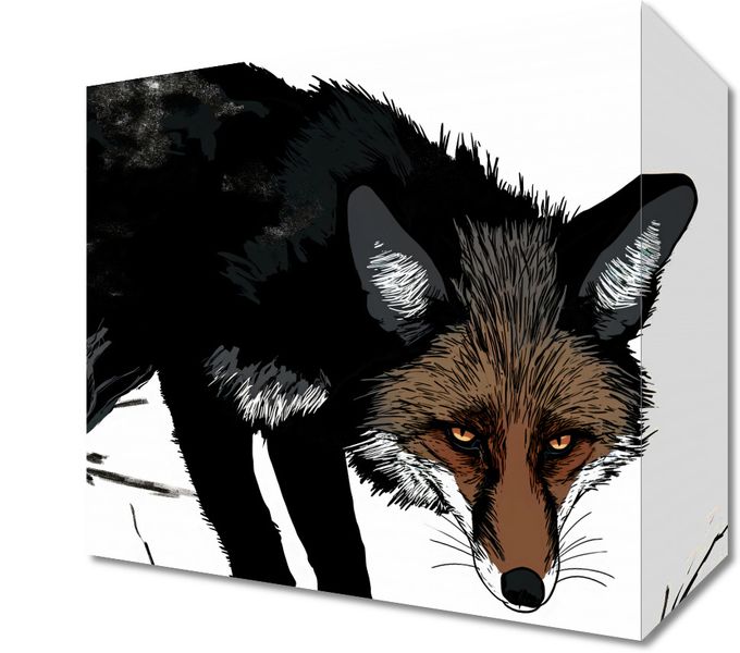 Obraz 20x20cm Nieufny Lis zdjęcie 1