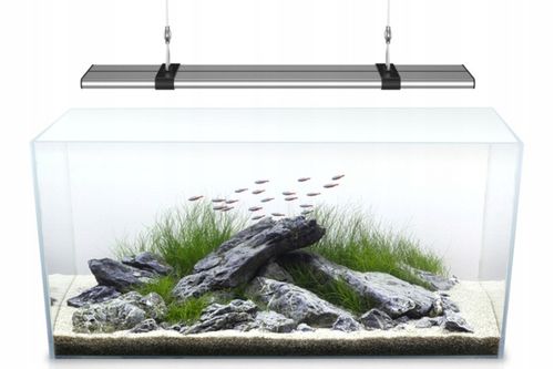 Sinkor LED II 30 cm WRB 10W z Wifi LED Control na Arena.pl