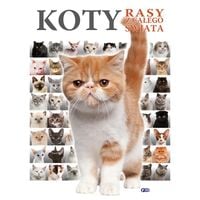 koty rasy z całego świata poradnik dla dzieci