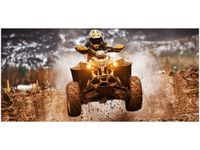 OBRAZ OFFROAD QUAD