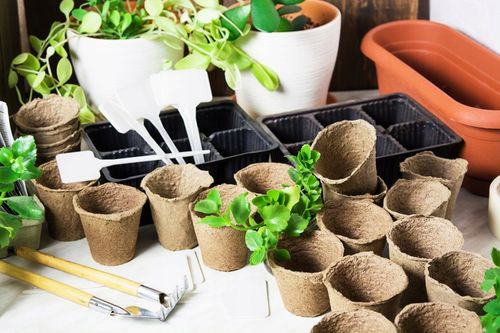 DONICZKA WIELODONICZKA DO SIEWU ROZSAD 60 szt TACA na Arena.pl