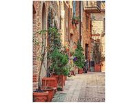 50X70CM STARA ALEJKA TOSKANII OBRAZ PION ŚCIAN