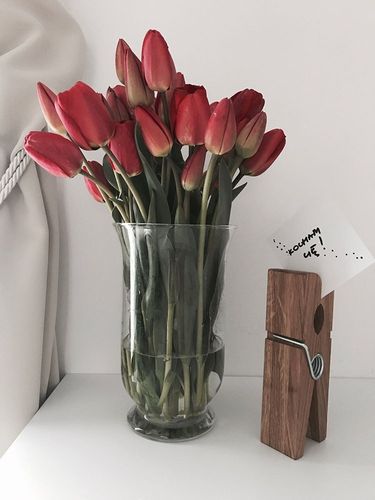 Mega spinacz clipper - drewno dębowe na Arena.pl