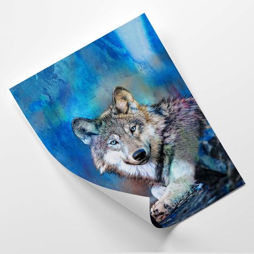 Plakat, Wilk 70x100 na Arena.pl