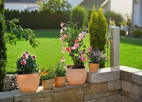 zestaw podstawowy s do roślin doniczkowych - hg-13000-20 na Arena.pl