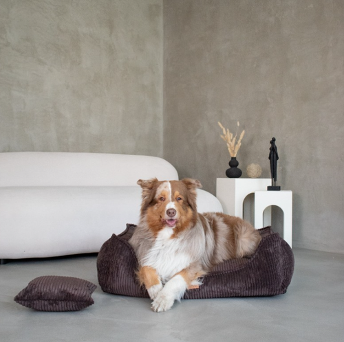 Ortopedyczne legowisko dla psa i kota MILANO BRĄZOWE XXL – VISCO MEMORY na Arena.pl