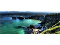 100X40CM CARRICK-A-REDE WIDOK LINIĘ BRZEGOWĄ OBRAZ DREWNO