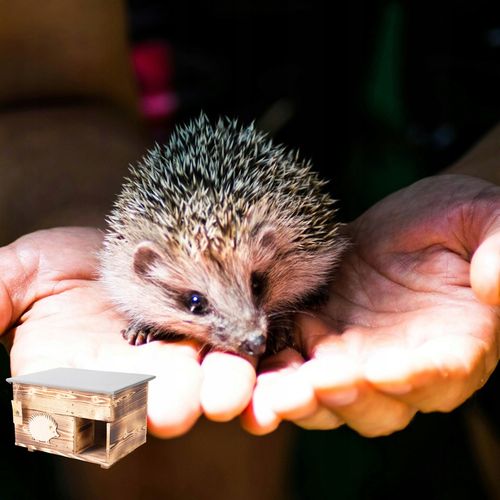 Domek dla Jeża Jeży DREWNIANY budka dom legowisko producent XXL na Arena.pl