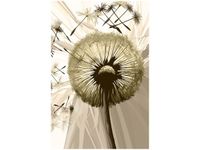 80CM 120 OBRAZ DMUCHAWCE SEPI ŚCIENNY