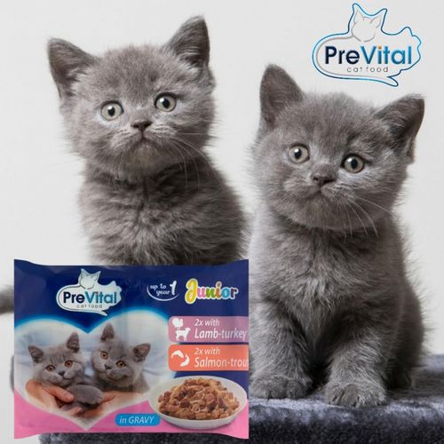 KARMA MOKRA DLA KOTA PREVITAL JUNIOR 52 X 100G SASZETKI DLA KOCIĄT MIX na Arena.pl