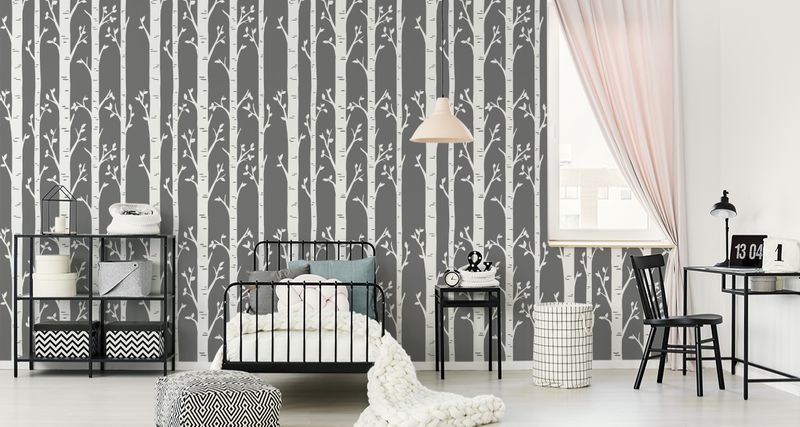 Tapeta Brzozy na Szarym Tle zdjęcie 2