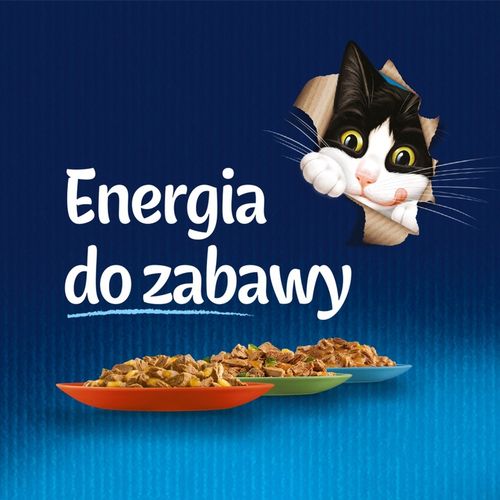 MOKRA KARMA DLA KOTA FELIX MIX SMAKÓW na Arena.pl