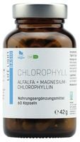CHLOROPHYLL 60 KAPSUŁEK CHLOROFIL Z LUCERNY SIEWNEJ