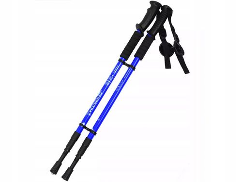 Kijki Nordic Walking Trekingowe Anti-Shock 2 szt. na Arena.pl