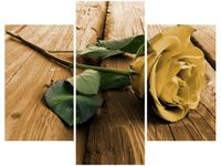 70 90CM OBRAZ 3 ELEM CIEKAWA RÓŻA ŚCIENNY PŁÓTNO