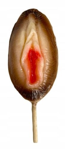 LIZAK prezent na URODZINY imieniny dla FACETA na Arena.pl