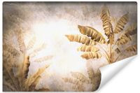 Fototapeta Ścienna Drzewa Bananowe ABSTRAKCJA Beton Mur 405cm x 270cm