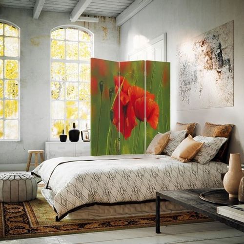 Parawan ozdobny, Maki 2 110x150 na Arena.pl