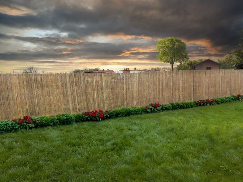 Mata osłonowa bambusowa 1,5x5m zdjęcie 4