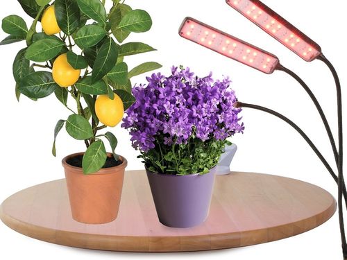 LAMPA DO ROŚLIN LED USB UPRAWY WZROSTU PANEL GROW LIGHT TIMER KLIPS KWIATÓW na Arena.pl