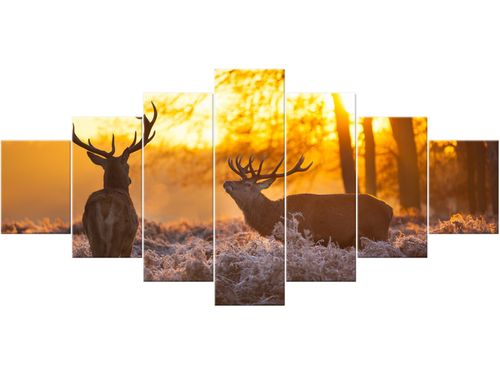 Obraz drukowany płótno 7 elementów 210x100 GRATIS na Arena.pl