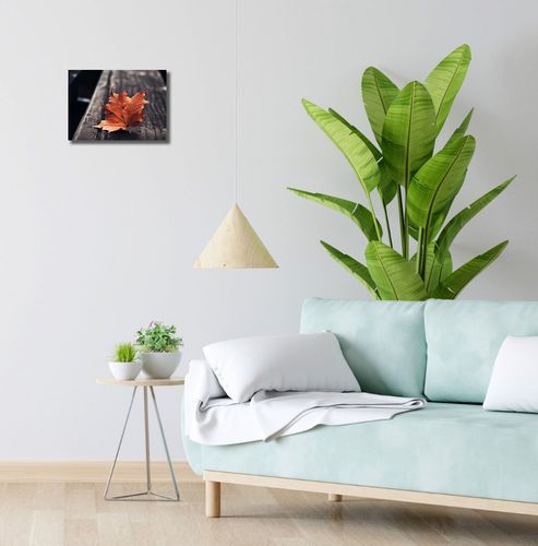 Obraz 30x20cm Pojedynczy Liść na Arena.pl