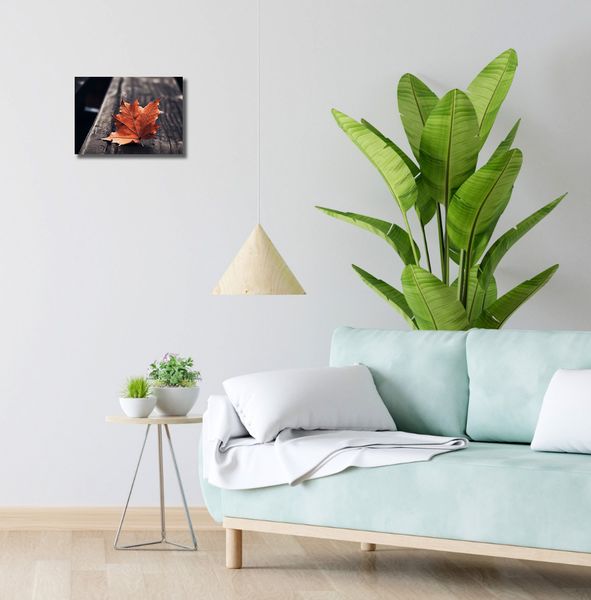 Obraz 30x20cm Pojedynczy Liść zdjęcie 2