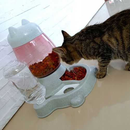 AUTOMATYCZNY PODAJNIK WODY I KARMY MISKA DLA KOTA I PSA DOZOWNIK 2W1 POIDŁO na Arena.pl