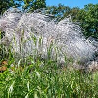 product-compare-57008691