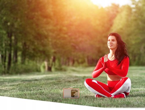 Radio TECHNISAT DIGITRADIO 2 DAB+ FM Bluetooth Audio Streaming, Alarm, OLED na Arena.pl