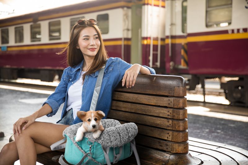 Torba uniwersalna, Transporter materiałowy dla psa kota, 3 w 1 R1 zdjęcie 5