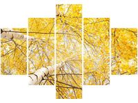 70 100CM OBRAZ 5 ELEM BRZOZA DRUK PŁÓTNO