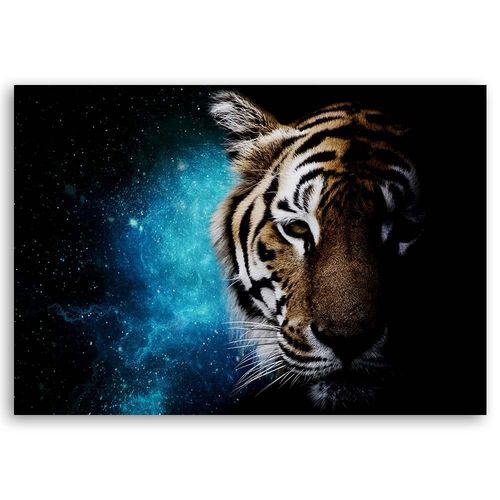 Deco Panel, Tygrys i kosmos 60x40 na Arena.pl