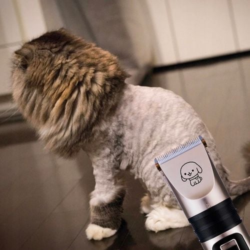 Maszynka Do Strzyżenia Psa Psów Kotów Zwierząt Golarka Zestaw Cicha na Arena.pl