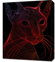 Obraz 50x60cm Cyfrowa Kocica