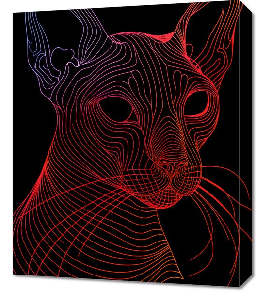 Obraz 50x60cm Cyfrowa Kocica zdjęcie 1