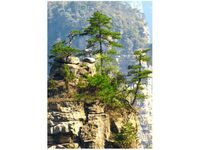 50X70CM WIDOK GÓRY OBRAZ PION ŚCIAN