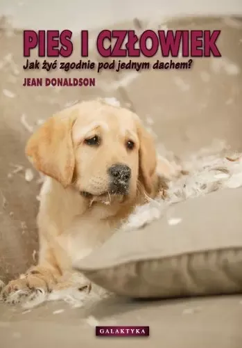 Pies i człowiek zdjęcie 1