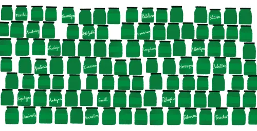 Brat ze słoika na Arena.pl