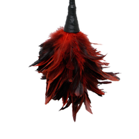piórka do łaskotania fetish fantasy frisky feather duster red
