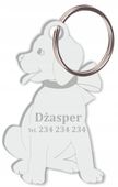 Identyfikator zawieszka adresówka GRAWER dla psa