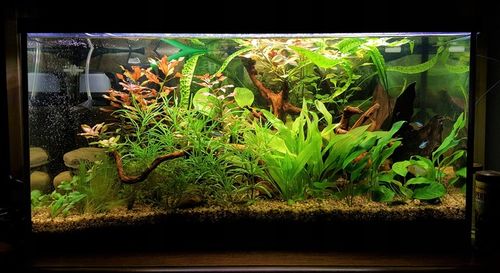 REFLED Świetlówka LED RGB 2 x 90cm akwarium pilot na Arena.pl