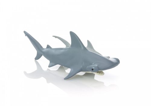 Ryby młoty 9065 na Arena.pl