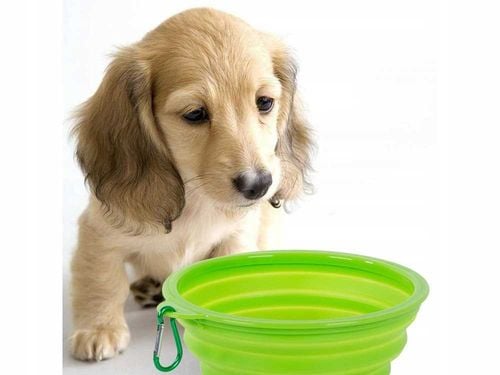 miska dla psa składana l - 19269 na Arena.pl