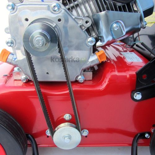 Pubert Cesar 45P na Arena.pl