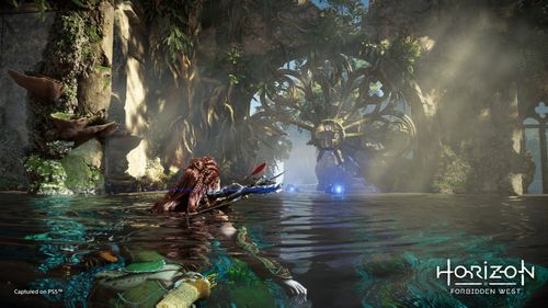 Gra PS4 Horizon Forbidden West (Kompatybilna z PS5) na Arena.pl