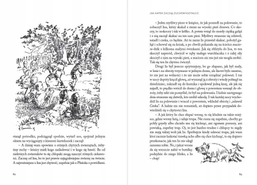 Antek Cwaniak na Arena.pl