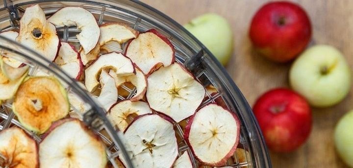 DUŻA SUSZARKA DO GRZYBÓW OWOCÓW WARZYW MIĘS MOCNA EKD003 ESPERANZA zdjęcie 11